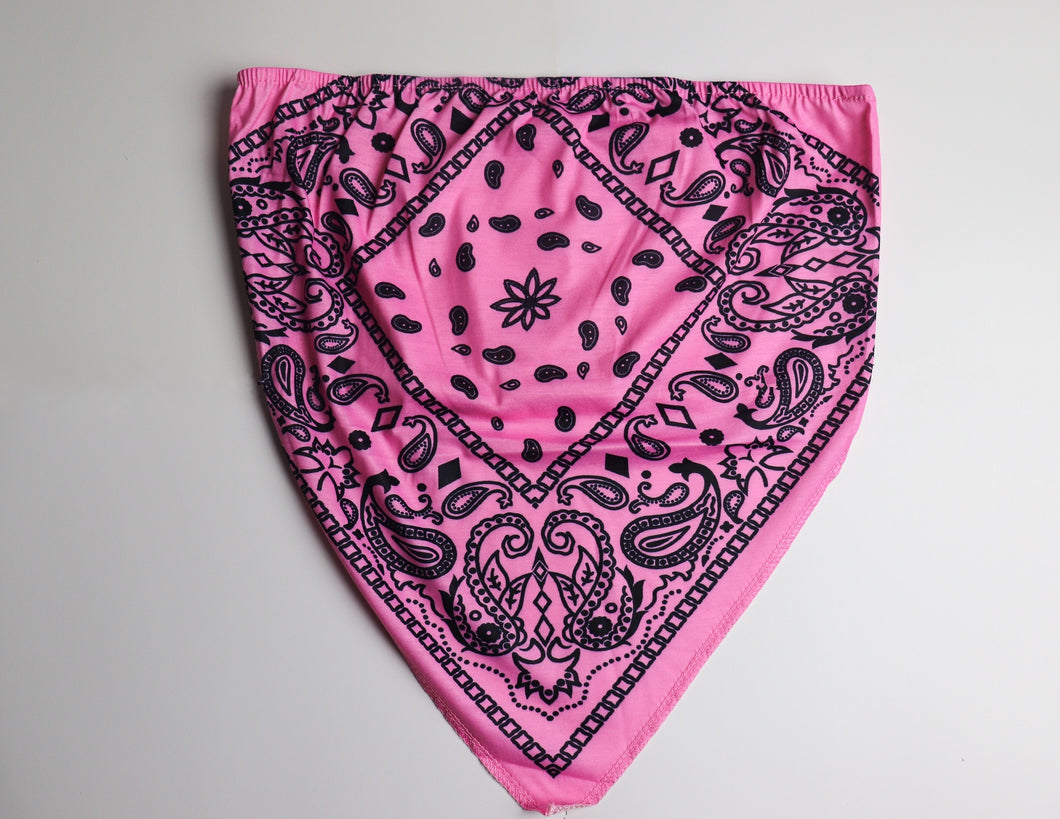 Paisley Bandana Tube Top