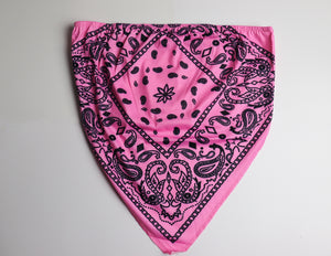 Paisley Bandana Tube Top